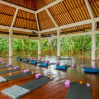 Cheap Yoga Classes in Ubud